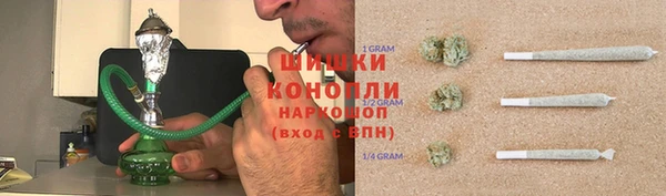 прущие крисы Надым