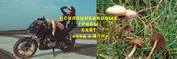 ПСИЛОЦИБИНОВЫЕ ГРИБЫ Вязьма