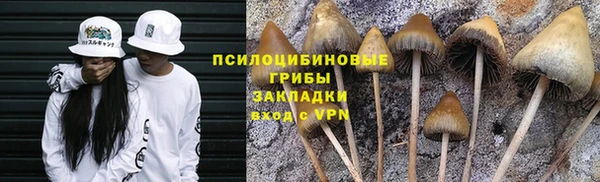 прущие крисы Надым