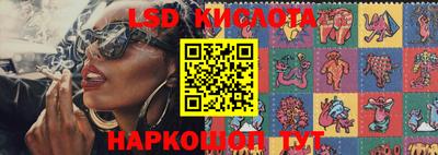 твердый Бийск
