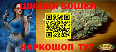 твердый Бийск