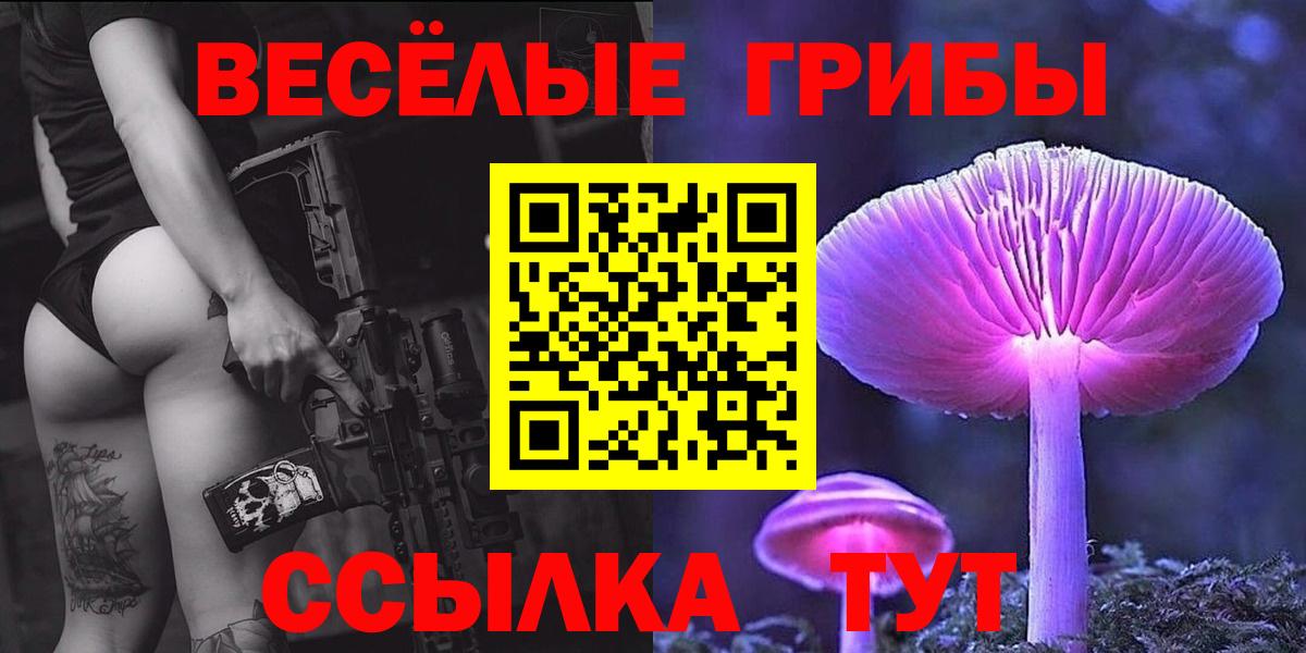 купить  цена  Владикавказ  Галлюциногенные грибы прущие грибы 