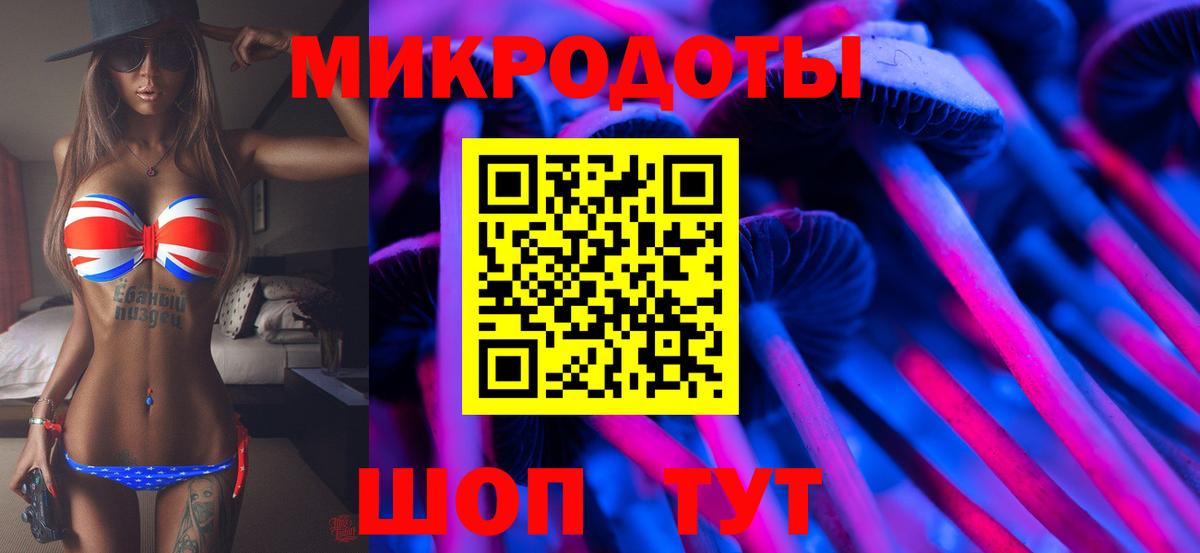 Владикавказ  Псилоцибиновые грибы мицелий  Вход с VPN 