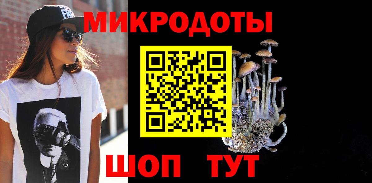 Псилоцибиновые грибы Cubensis Владикавказ